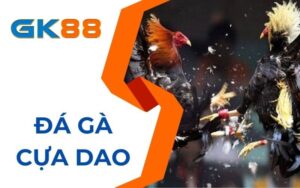 Đá gà cựa dao tại GK88