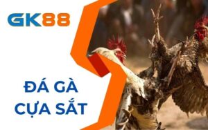 Đá gà cựa sắt tại GK88